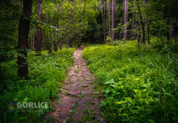 Wakacyjna moda na Beskid Niski