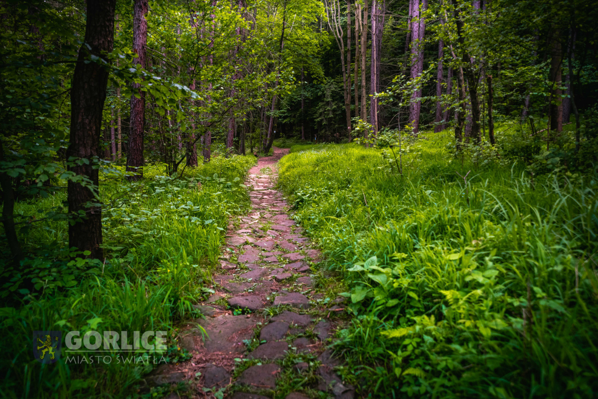 Wakacyjna moda na Beskid Niski