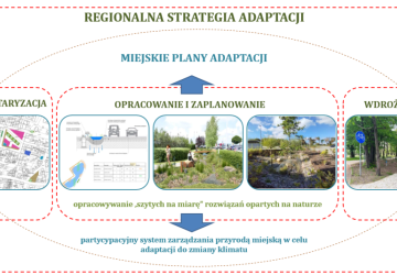 Grafika - regionalna strategia adaptacji.