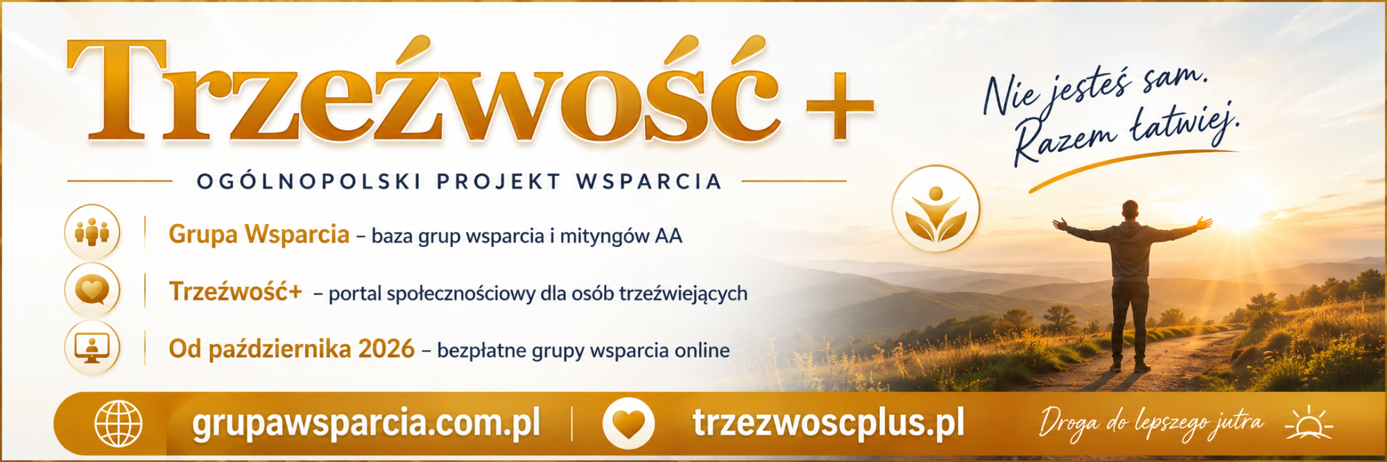 baner z nazwą programu
