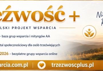 baner z nazwą programu