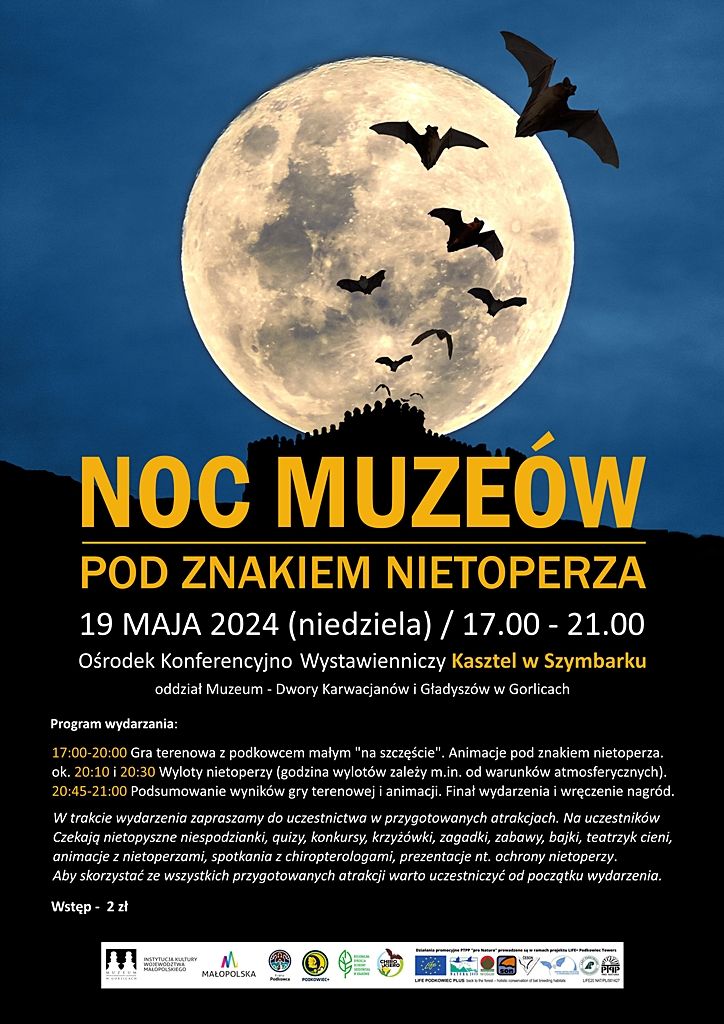 Noc muzeów pod znakiem nietoperza