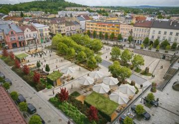Mniej betonu, więcej zieleni. Zmieniamy przestrzeń miasta