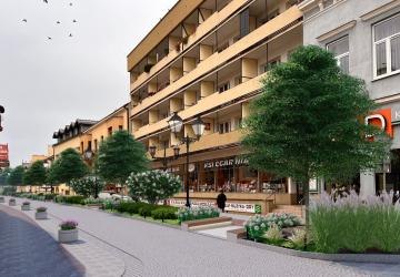 Projekt zazielenienia ul. 3 Maja.