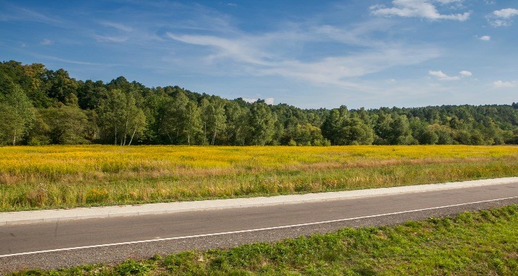 Wykaz nieruchomości przeznaczonej do sprzedaży w drodze przetargu