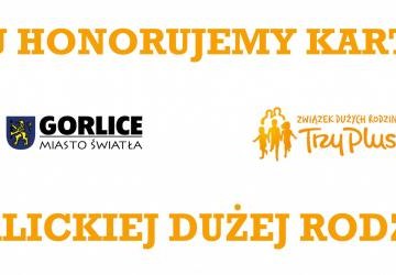 Kolejna oferta dla Dużej Rodziny